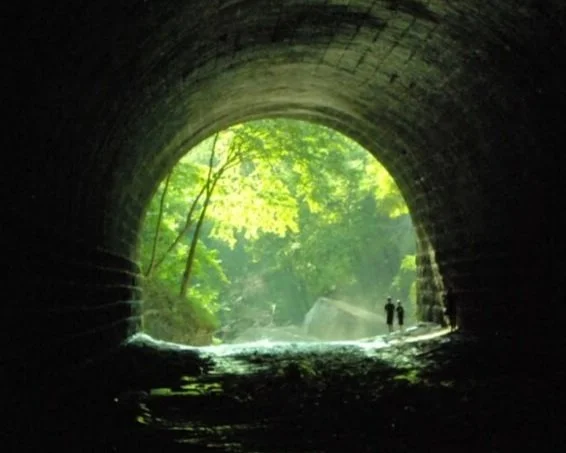 Social Capital Network map of Bedford