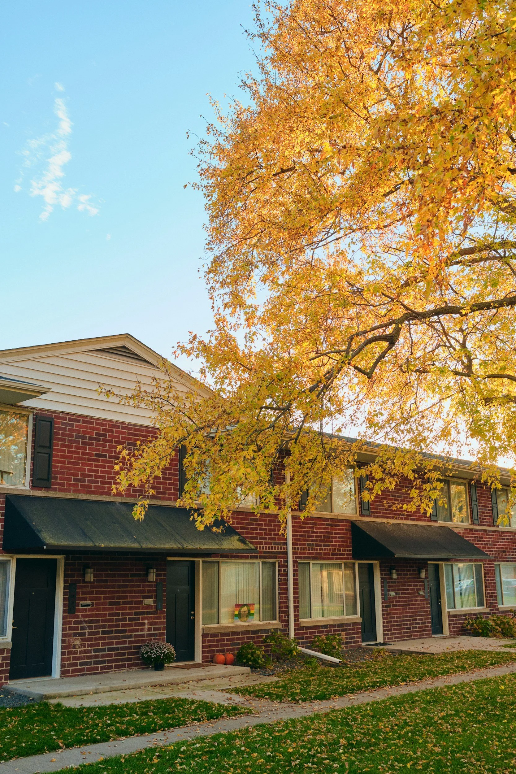 Brick townhomes concept